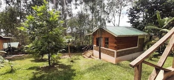 kihingo cottages muranga