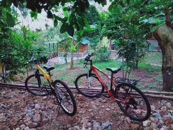 kihingo cottages muranga