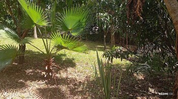 kihingo cottages muranga