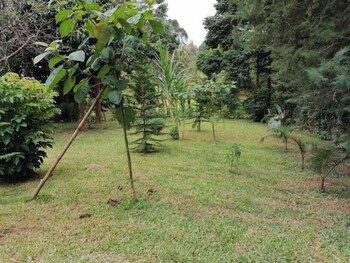 kihingo cottages muranga