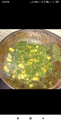 dityas house