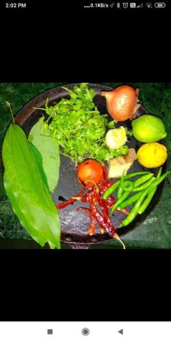 dityas house