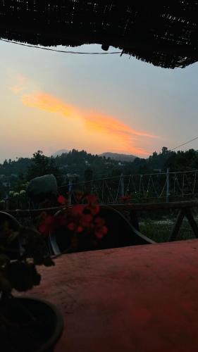 dityas house
