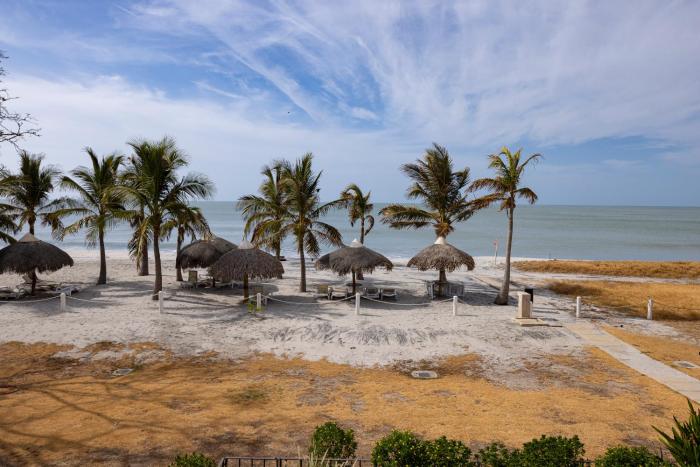 punta chame