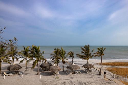 sanctuary by playa caracol resorts