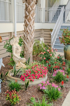 driftwood inn