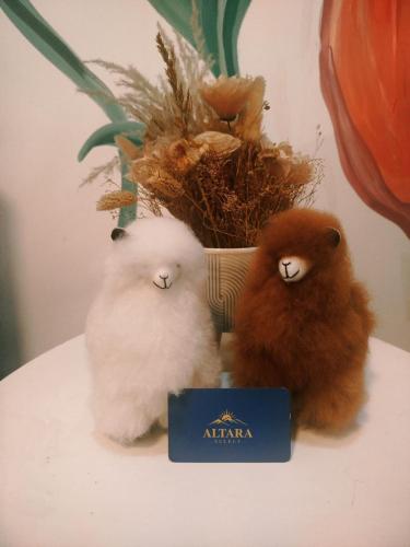 hotel altara select