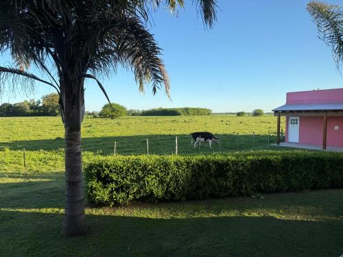 san andres de giles