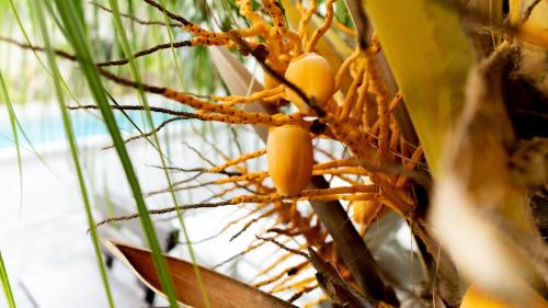 pemandangan indah guest house look out point