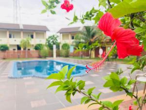 shell out cenang beach resort