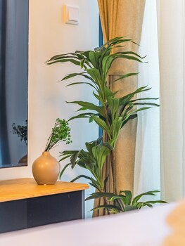 tranquil studio getaway in meydan city
