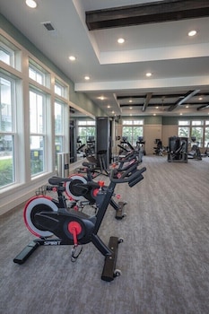 adeline apartments 15m to parks pet friendly free parking by heavenly homes