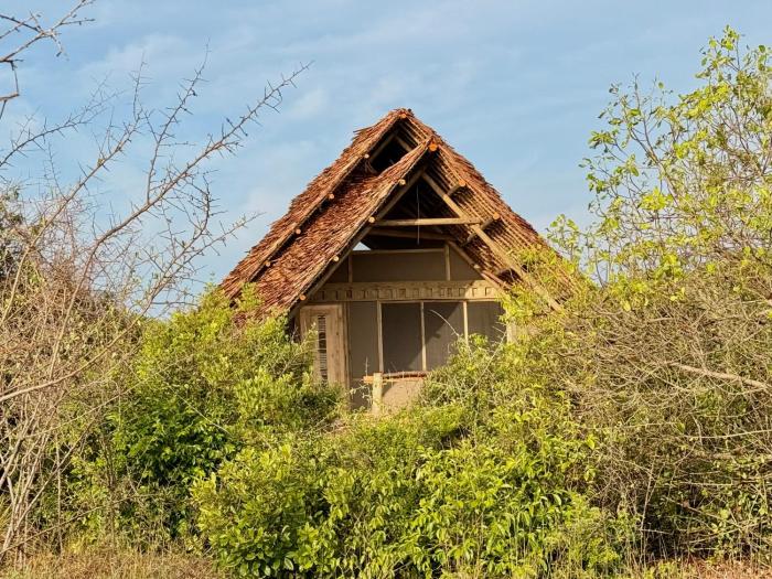 saadani beach camp
