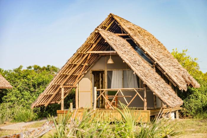 saadani beach camp