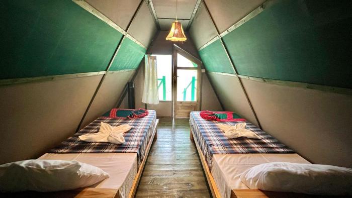 saadani beach camp