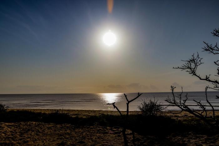 saadani beach camp