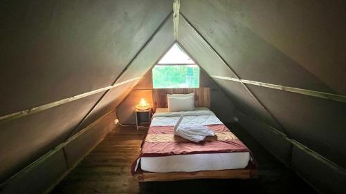 saadani beach camp