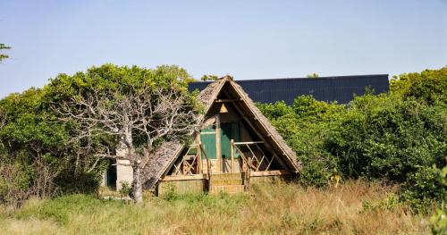 saadani beach camp