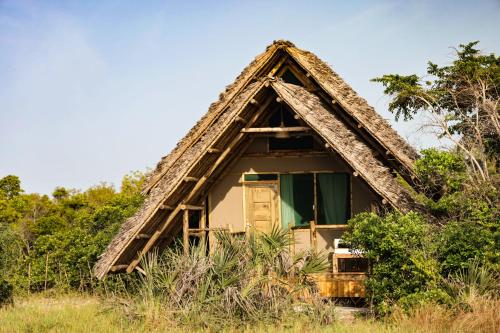 saadani beach camp