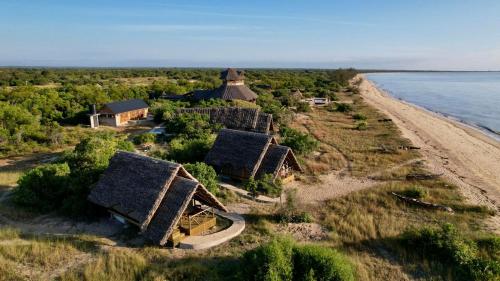 saadani beach camp