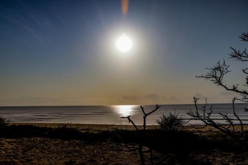 saadani beach camp
