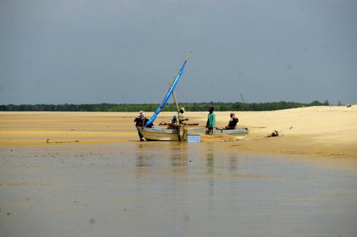saadani beach camp