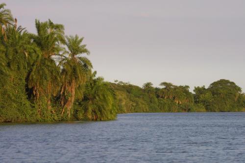 saadani
