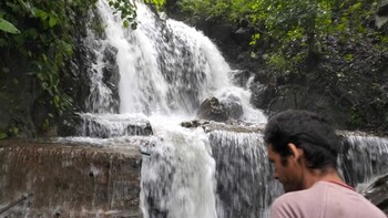 Nest And Hives Amritpur,,2 star