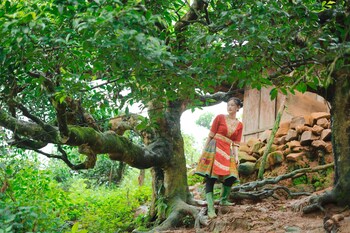 the legend of dragon tea suoi giang