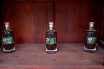 the legend of dragon tea suoi giang