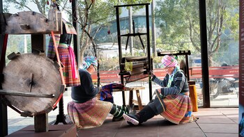 the legend of dragon tea suoi giang