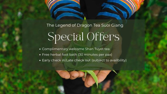 the legend of dragon tea suoi giang