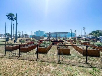 the tides of galveston