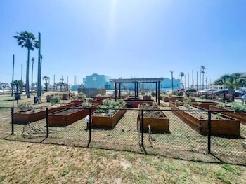 the tides of galveston