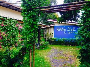 Raven Blue,Saladan>>Ko Lanta,3 star