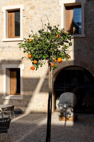 parador de ibiza