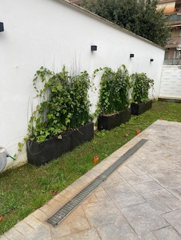 grey house srls