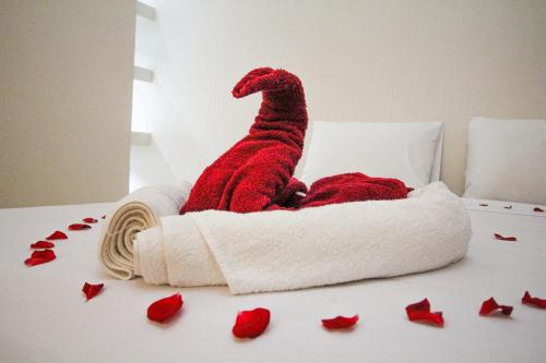 redmoon villa and riad
