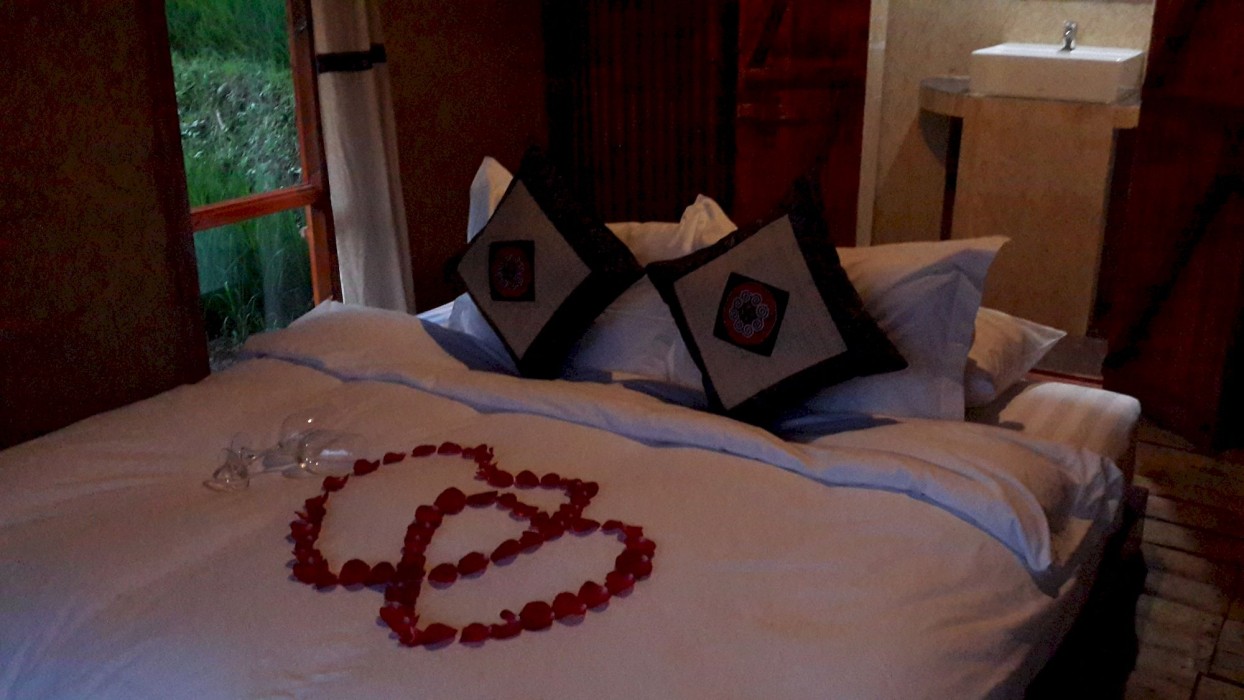 eco palms house sapa retreat