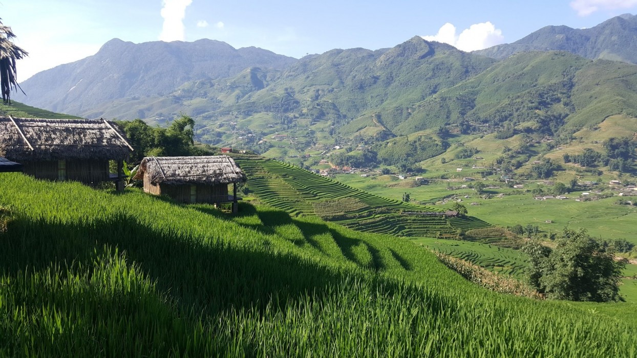 eco palms house sapa retreat