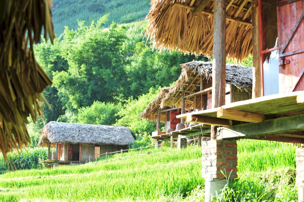 eco palms house sapa retreat