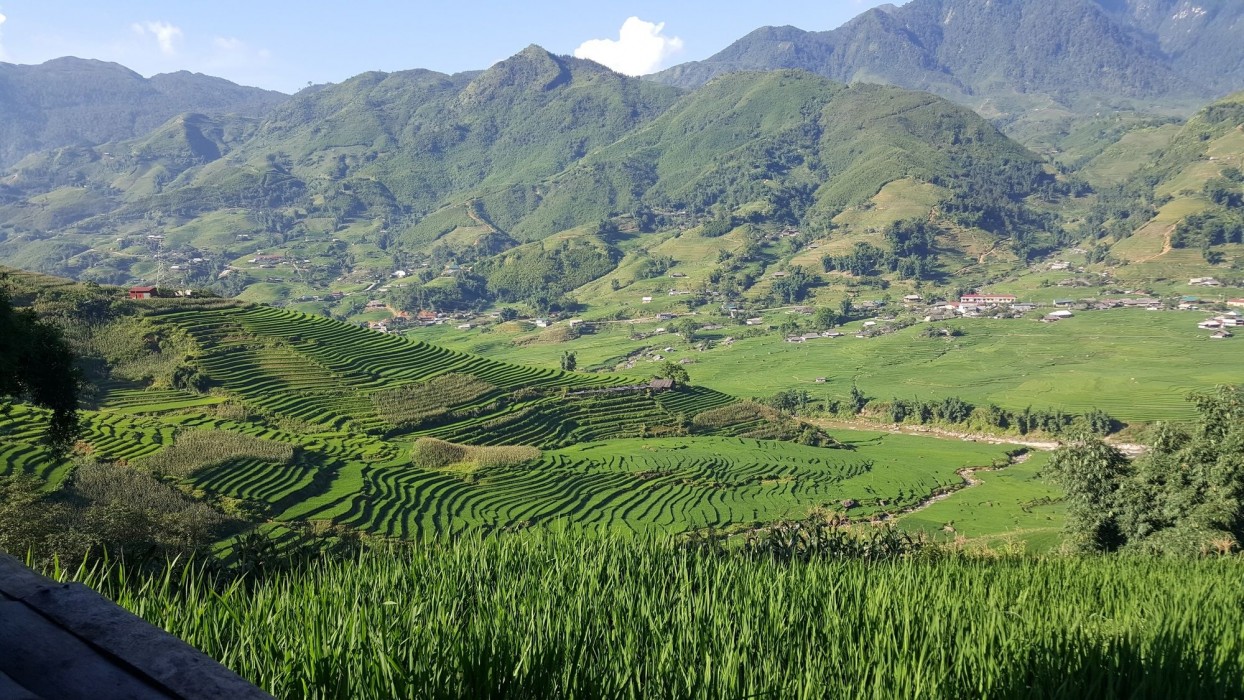 eco palms house sapa retreat