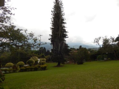 romeral club campestre
