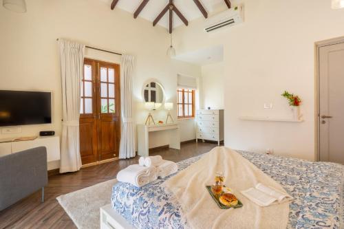 elivaas celest 4 bhk villa with pvt pool