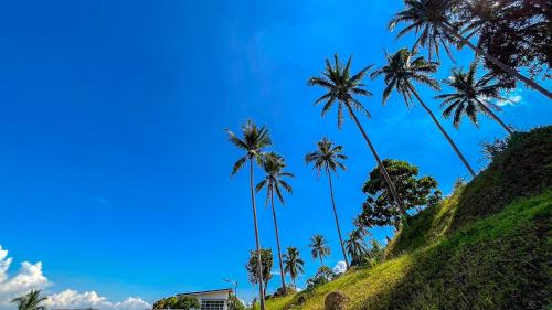 caliraya heights resort and events place