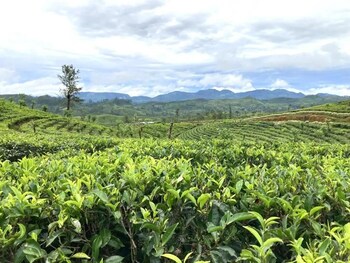maskeliya