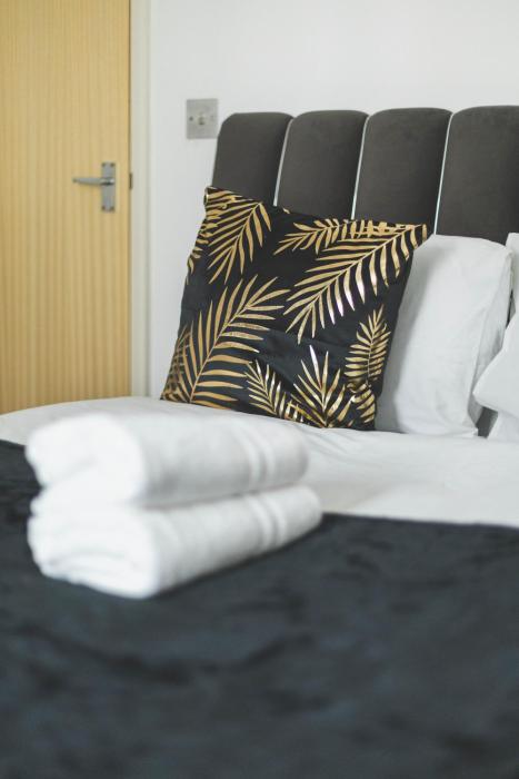 deluxe two bedroom vauxhall apartment