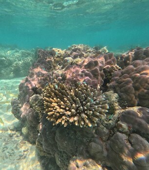 praveg atolls thinnakara lakshadweep