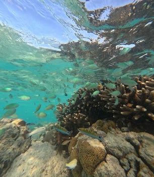 Praveg Atolls Thinnakara Lakshadweep,Survey No 33A/1,32A/1,30A/1,5 star