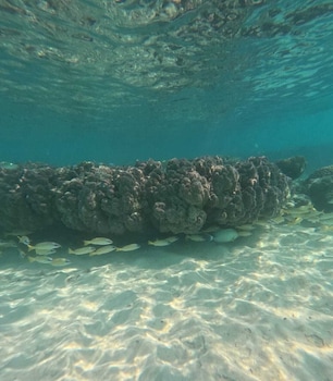 praveg atolls thinnakara lakshadweep